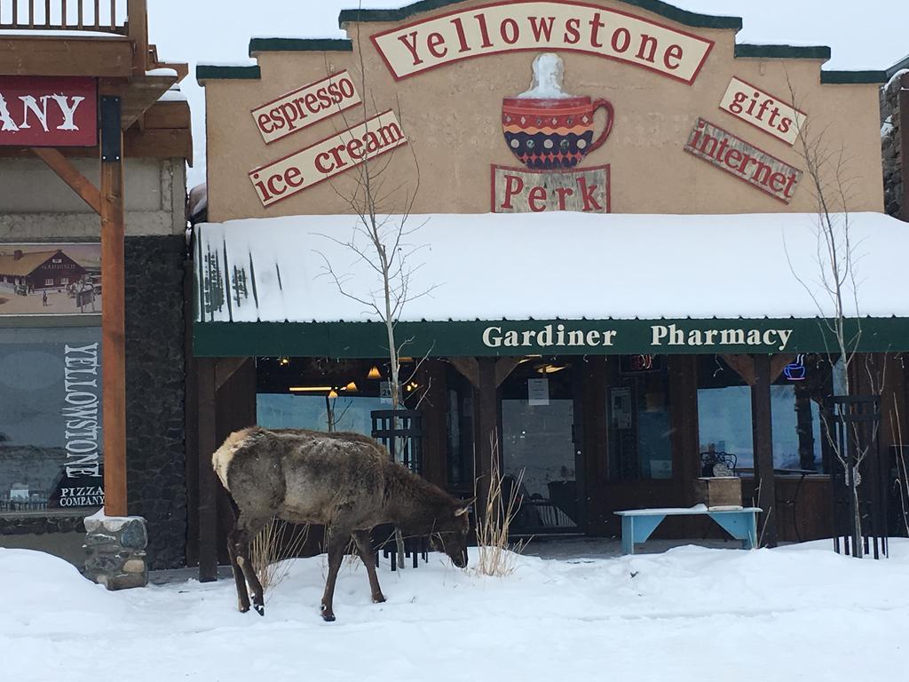 جاردينر Park Hotel Yellowstone Suites المظهر الخارجي الصورة